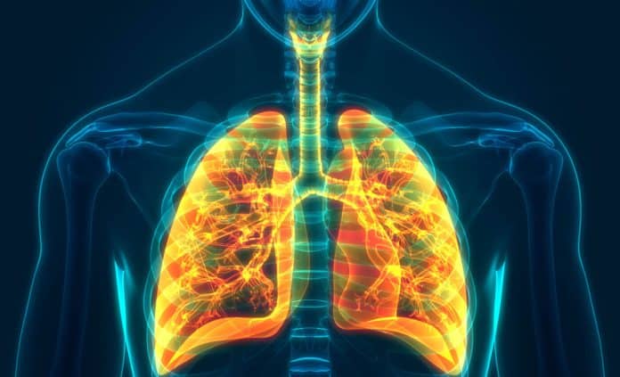Aerosol de vaporizador y expresión génica en tejido pulmonar humano en comparación con el humo de cigarrillos